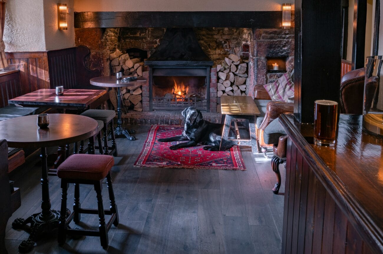 10 Best Dog-Friendly Pubs in Southampton