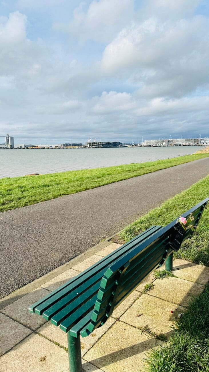 Bench overlooking the water at Weston Shore.