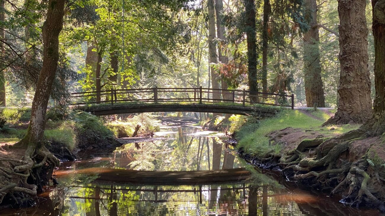 Brockenhurst