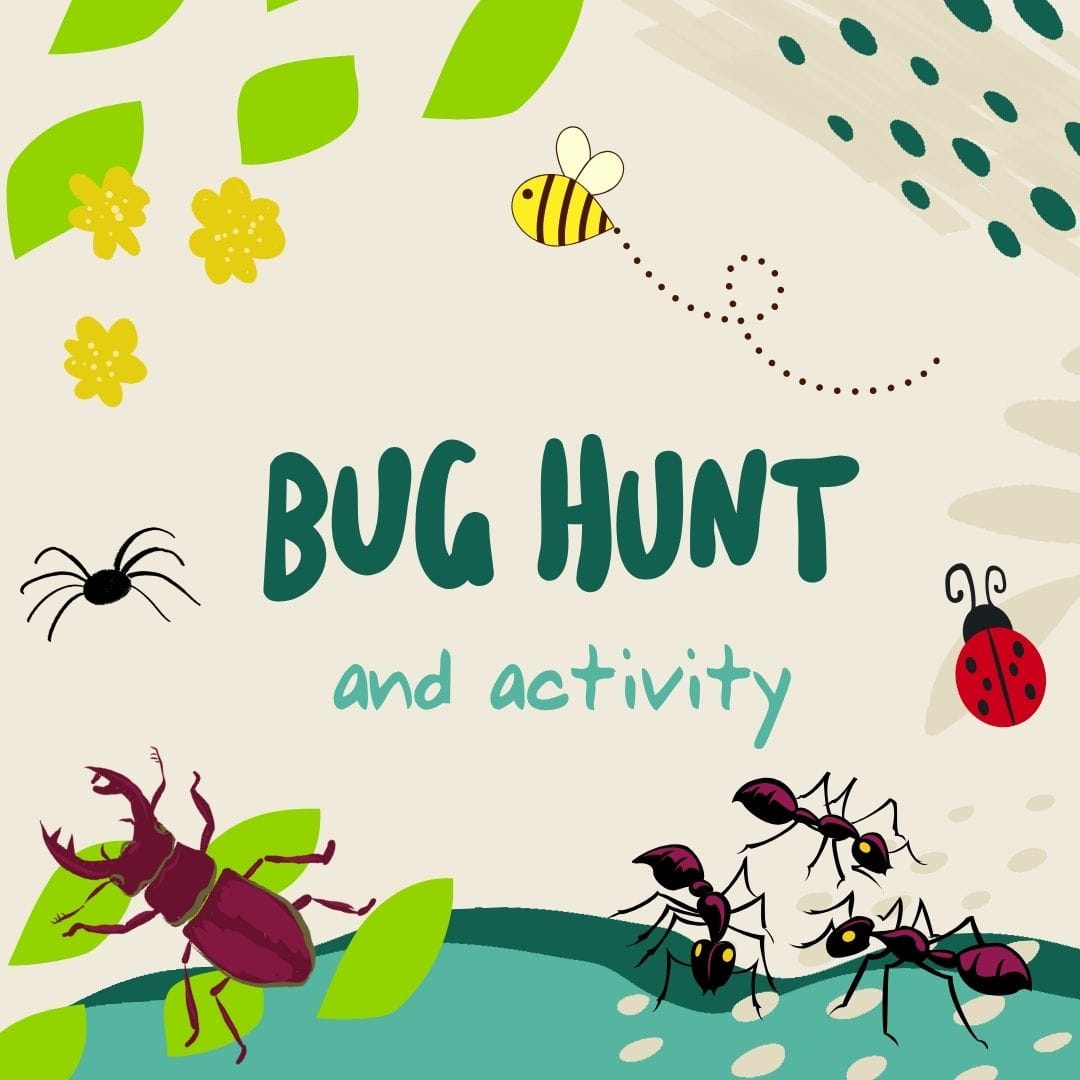 Bug Hunt and Activity 2026