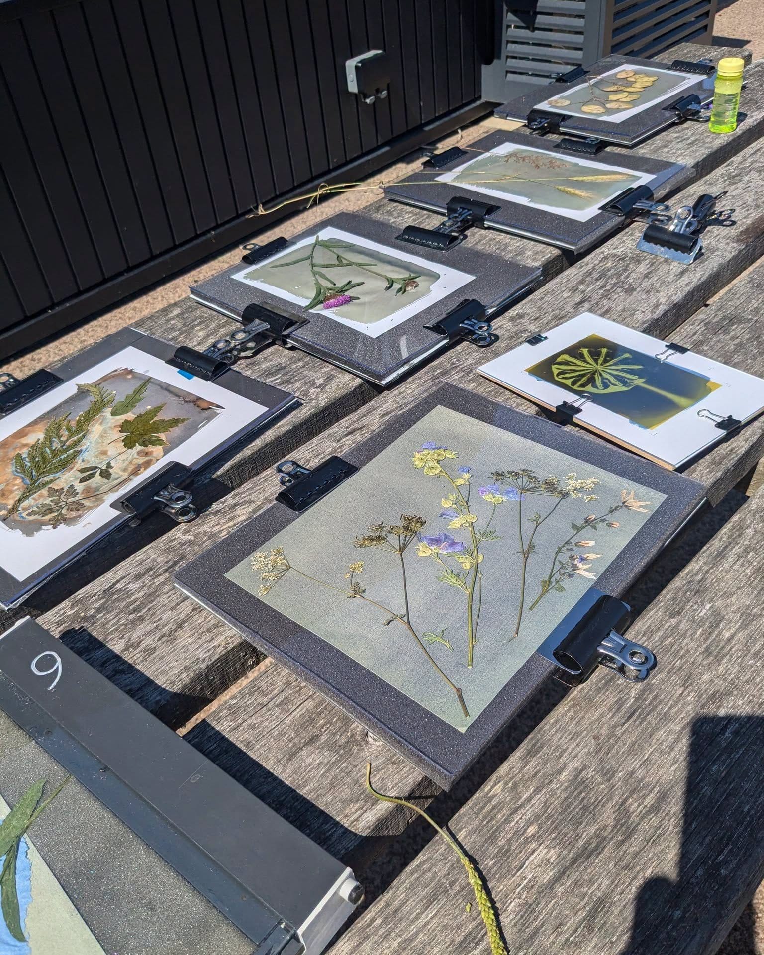 Cyanotype Printing Workshop 2026