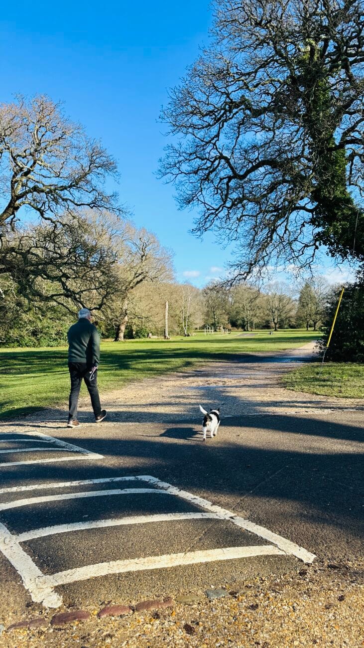 Dog walkers near woodland edge, Southampton Common