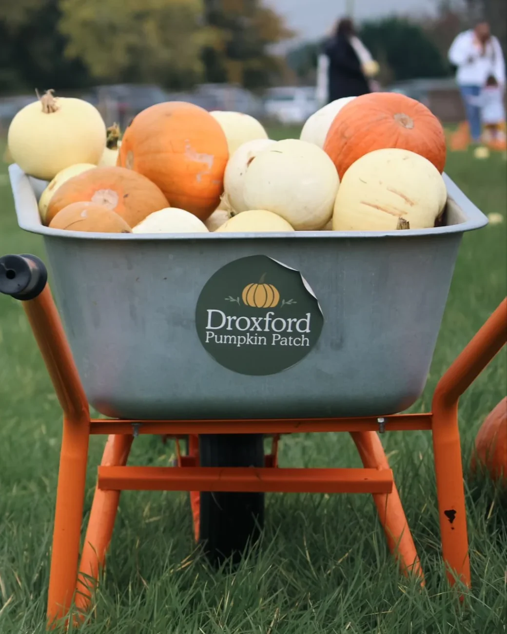 Droxford Pumpkin Patch 2026