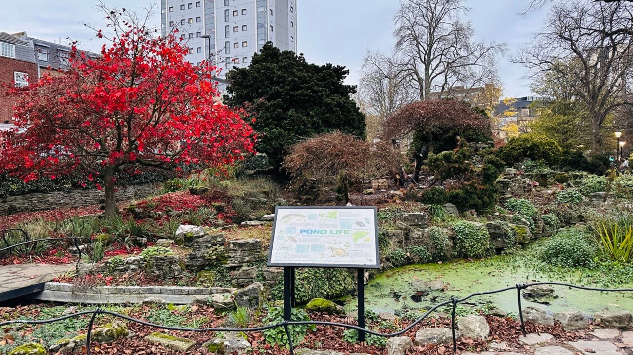 East Park flowerbeds and seasonal blooms