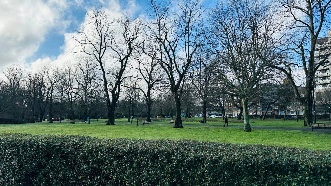 East Park open space with mature trees