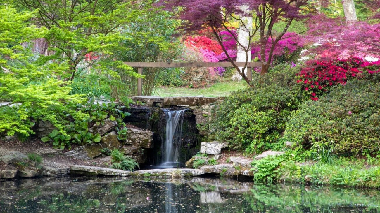 10 Best Cheap Things to Do in Southampton 2026 6 Exbury Gardens Steam Railway