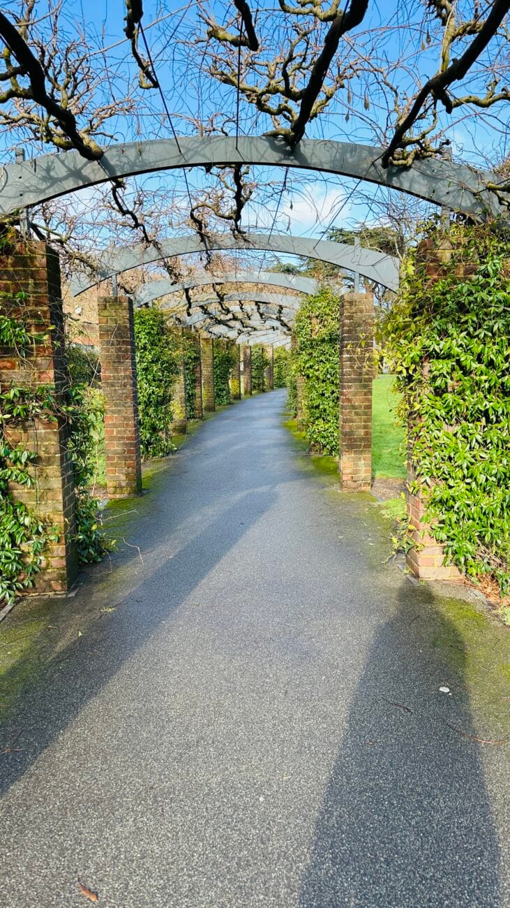Floral arch walkway in East Park in winter