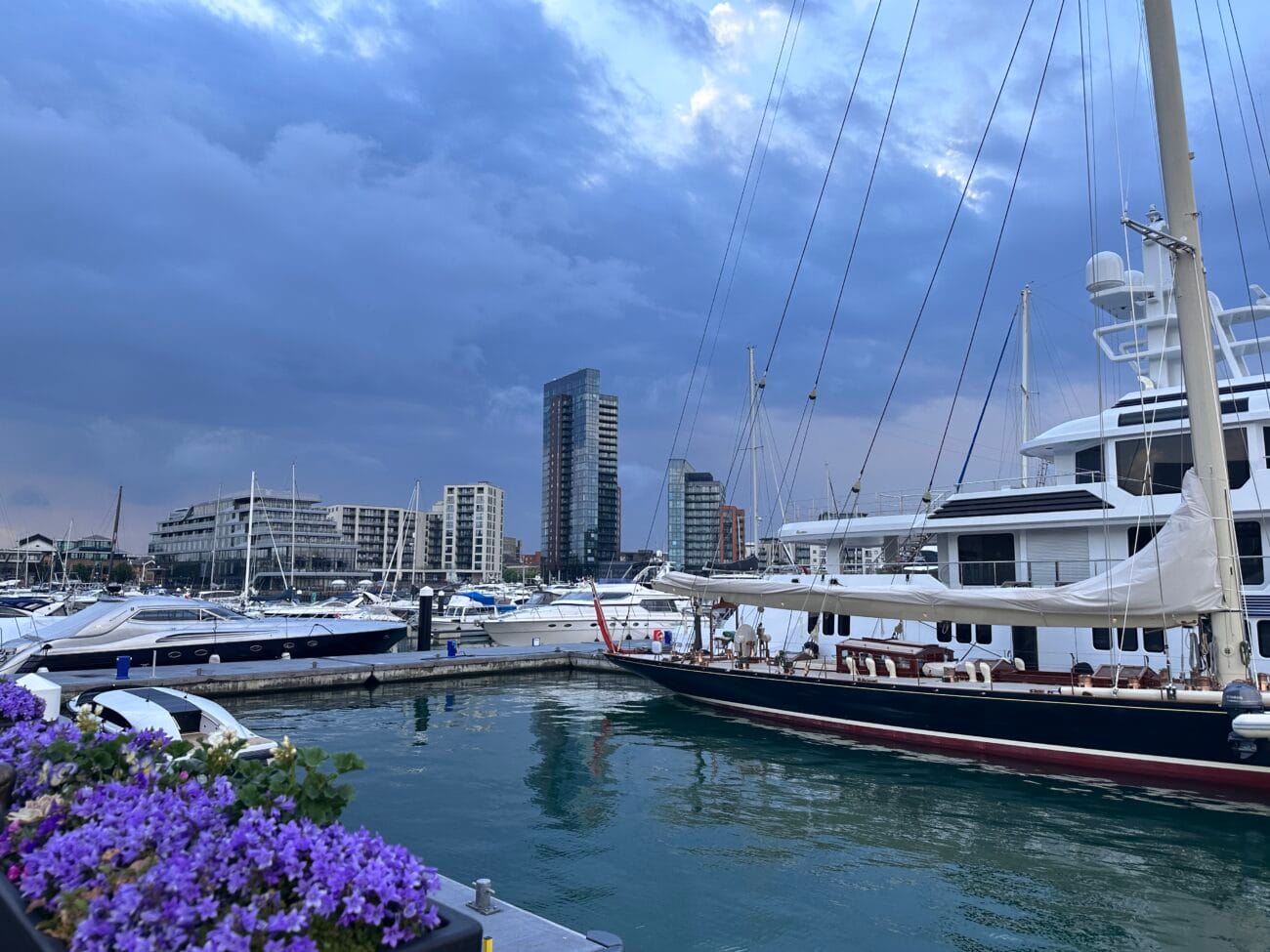 Flowers in Ocean Village with yachts on the background