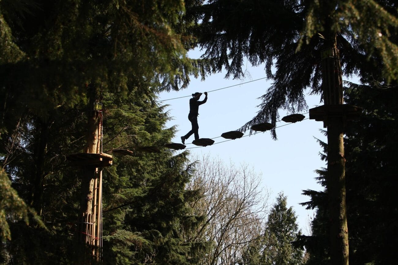 Go Ape Southampton Tree Top