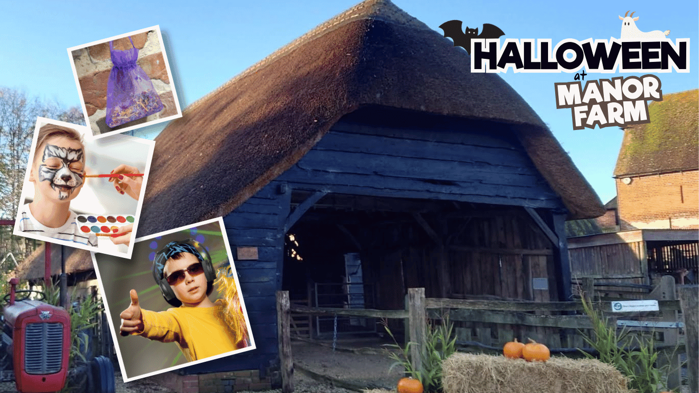 Halloween at Manor Farm