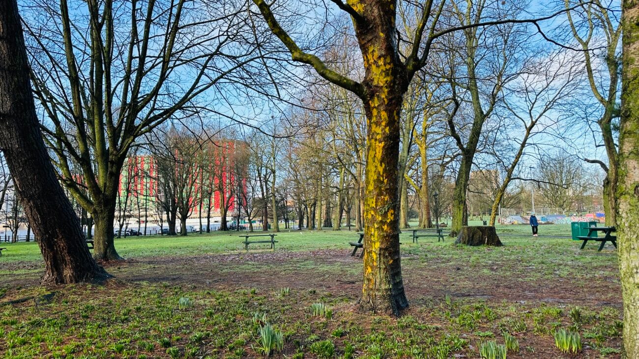 Hoglands Park parkland next to the city centre