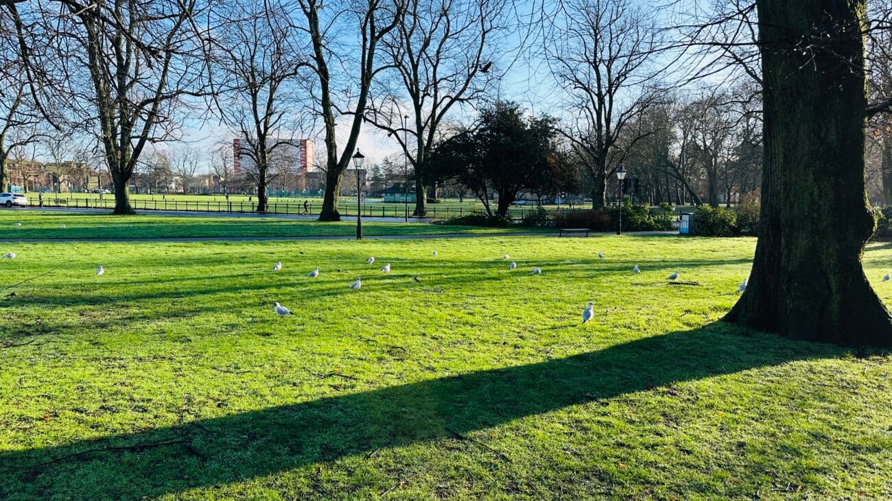 Houndwell Park playground with nearby trees