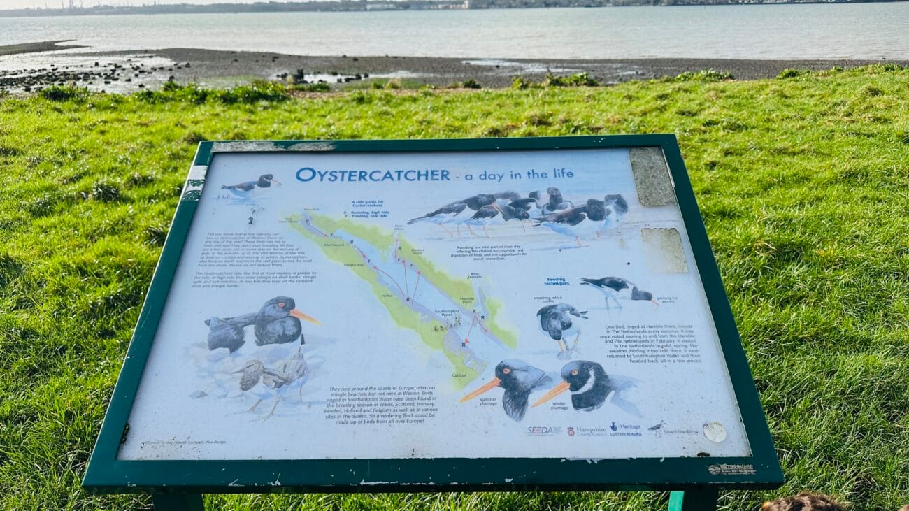 Information board about local wildlife at Weston Shore.