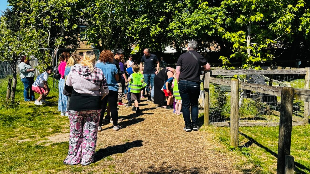 Kids Feeding the Goats at Southampton City Farm