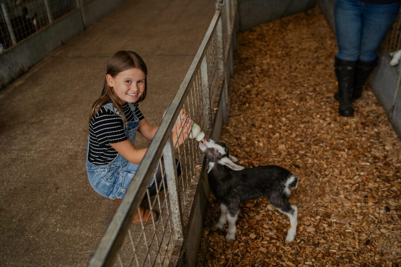 Longdown Activity Farm
