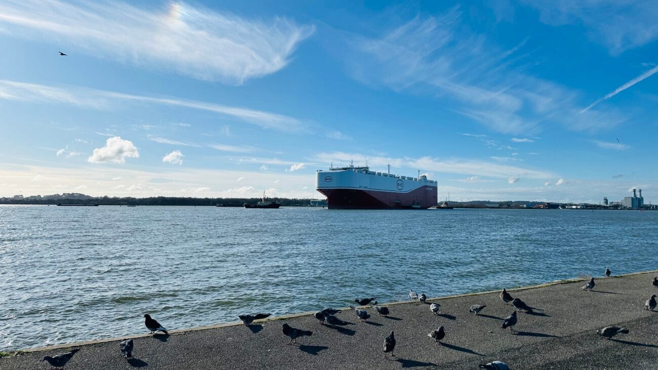Mayflower Park skyline with cranes and port activity
