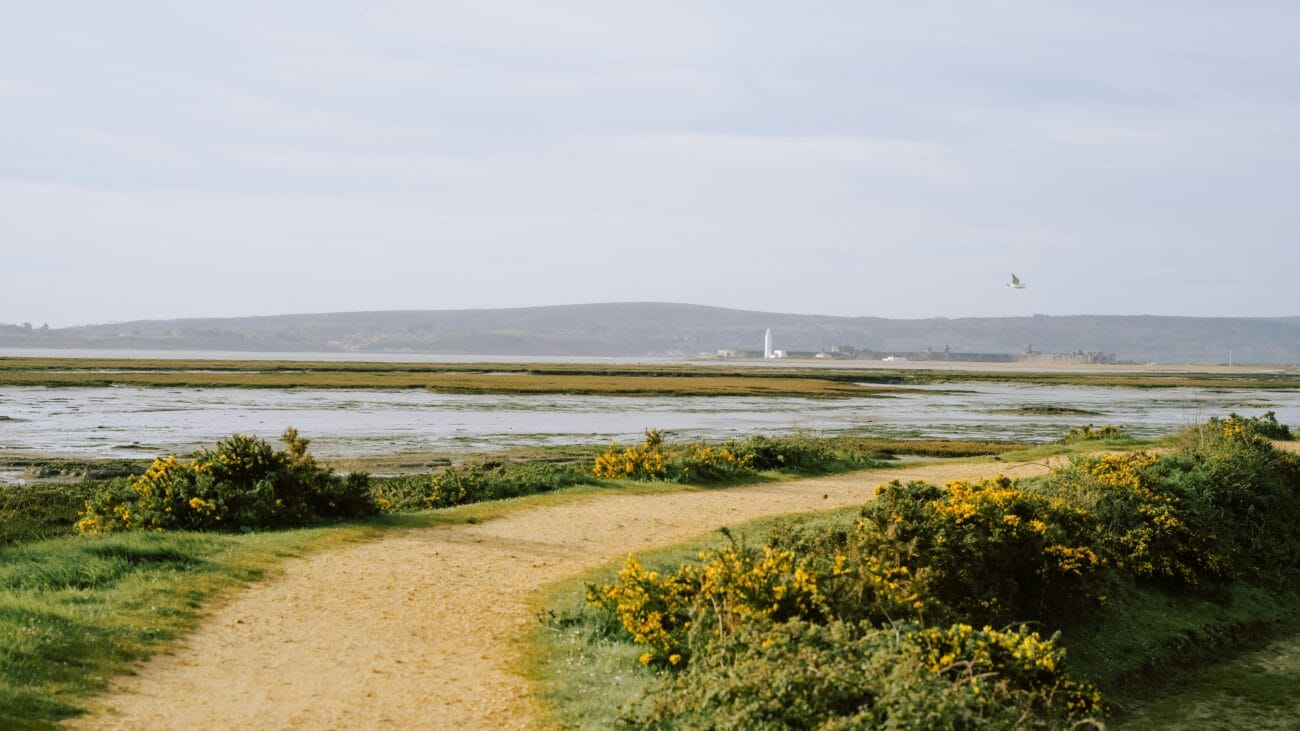 Milford-on-Sea