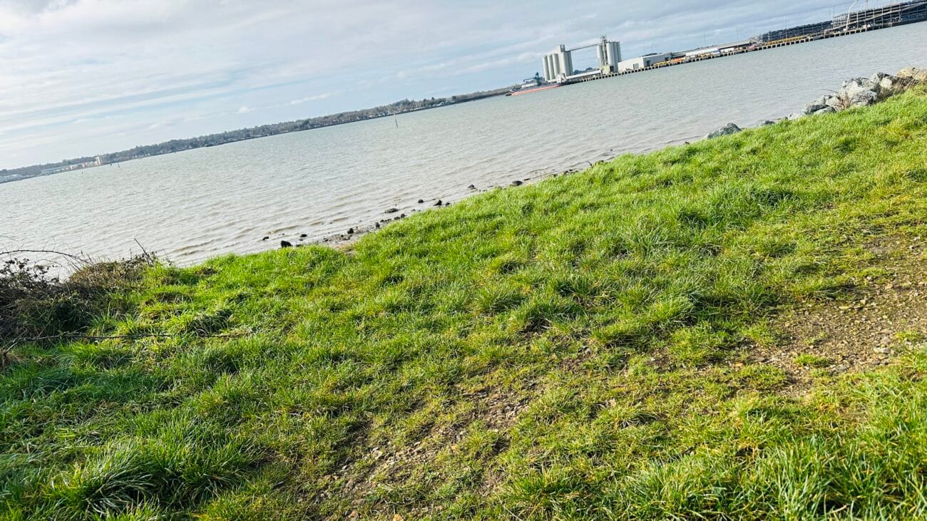Narrow freshwater stream on the beach at Weston Shore.