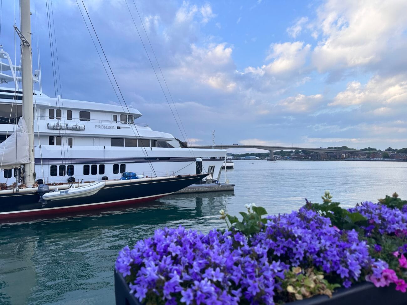 Ocean Village marina flowers and yachts