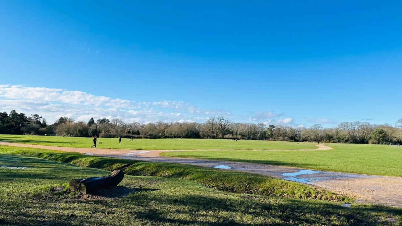 Open field on Southampton Common