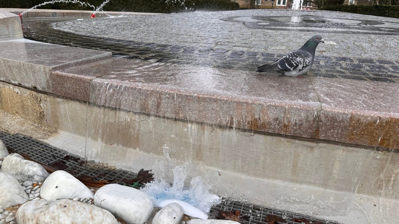 Peace Fountain in East Park, Southampton