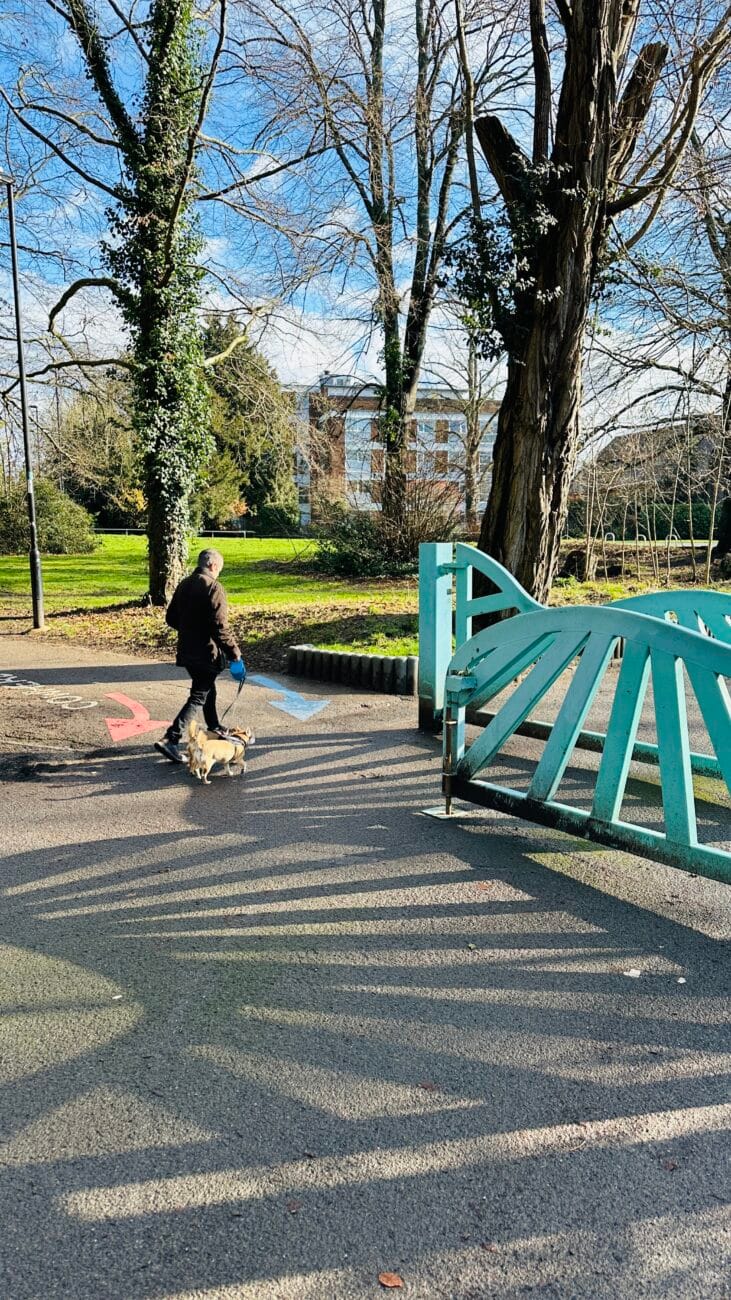 People walking dogs on Southampton Common