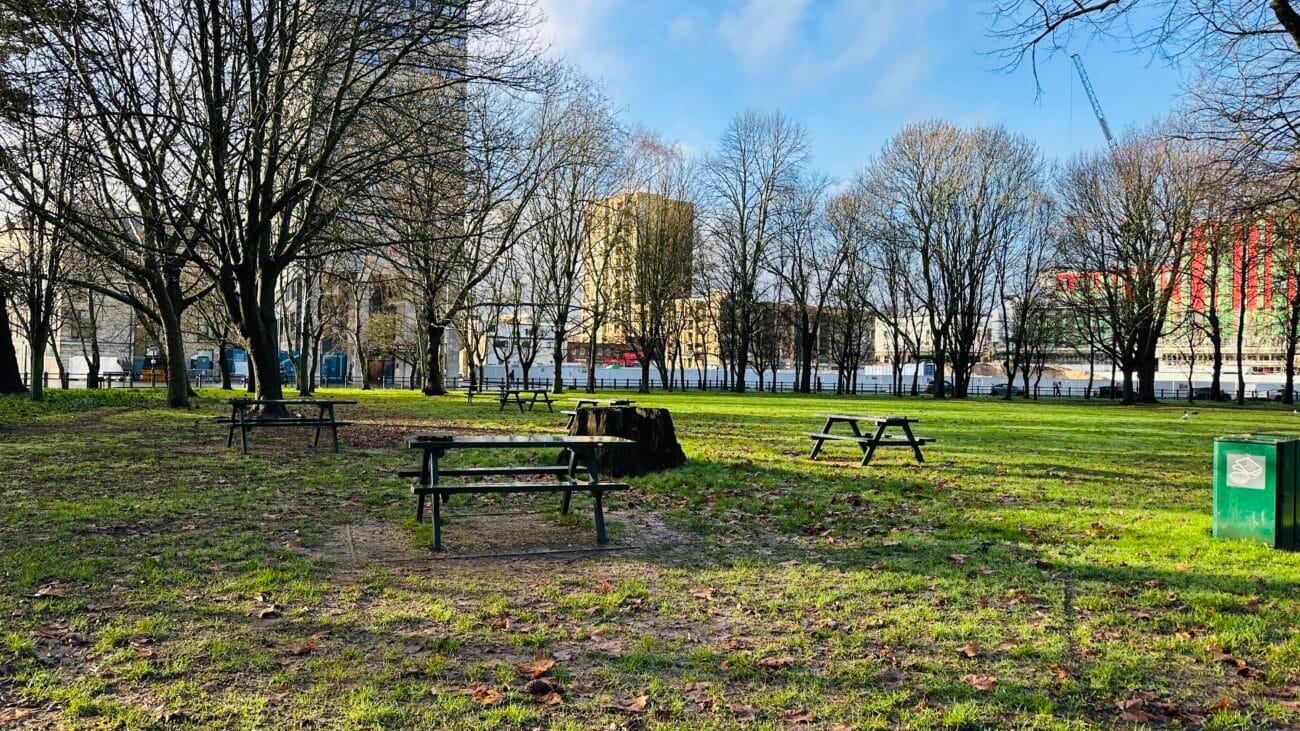 Picnic tables in Hoglands Park on a sunny day