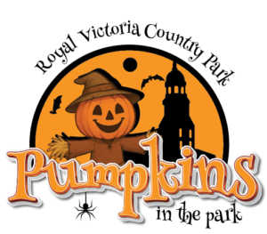 Pumpkins in the Park at Royal Victoria Country Park 4 Pumpkins in the Park at Royal Victoria Country Park