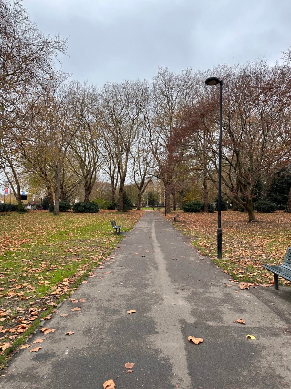 Queen’s Park winter trees and pathways