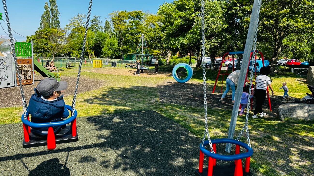 Riverside Park Play Area Swing