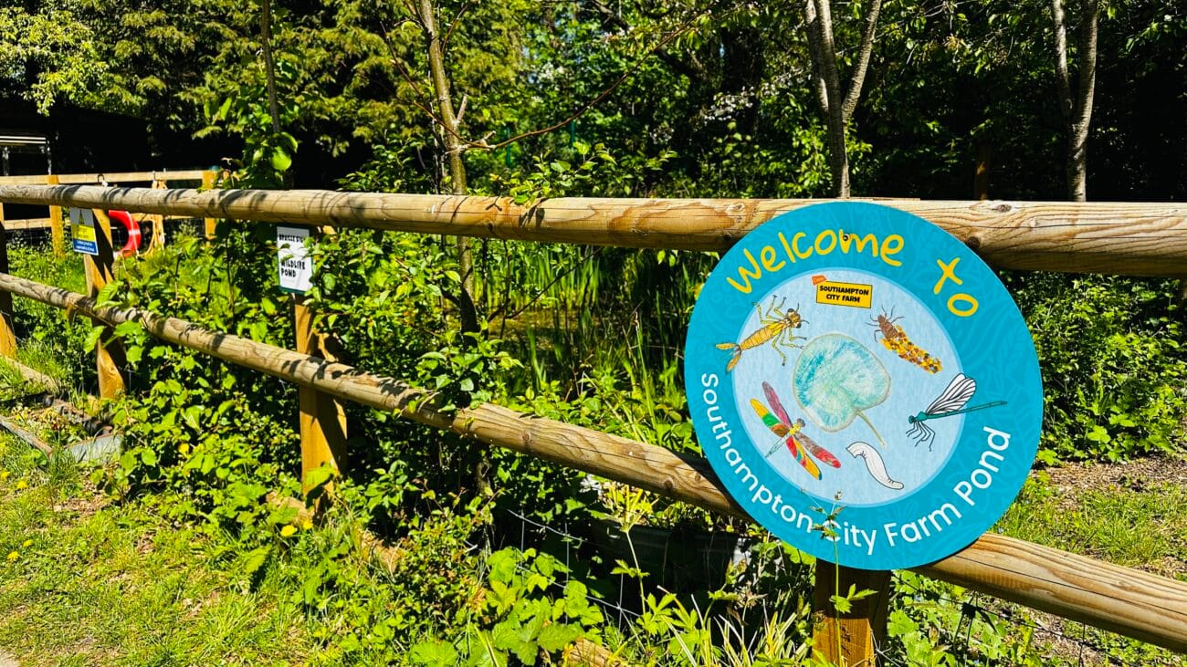 Southampton City Farm Pond