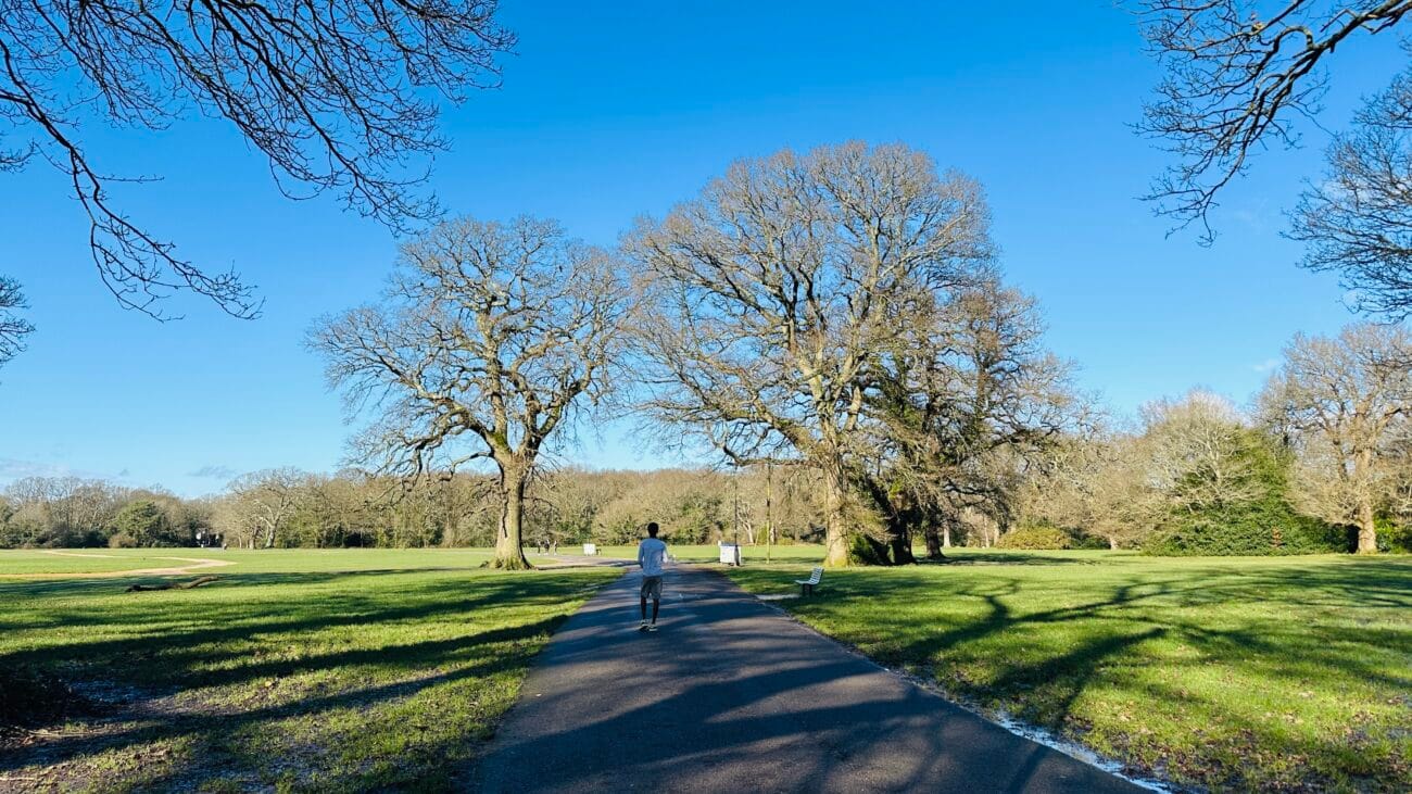 Southampton Common open green space and trees