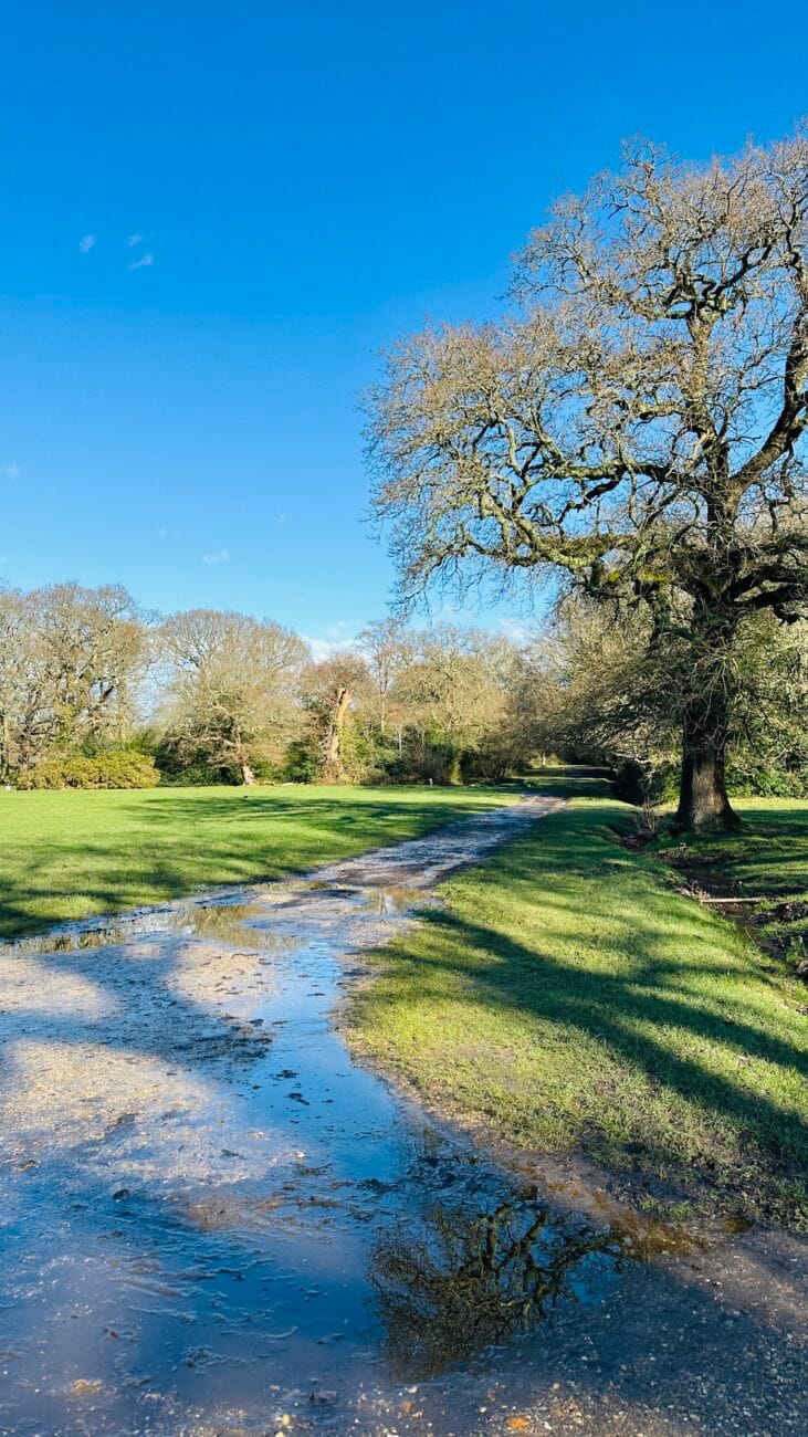 Southampton Common path after rain