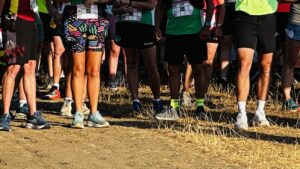 Southampton Half Marathon 2026 Road Closures