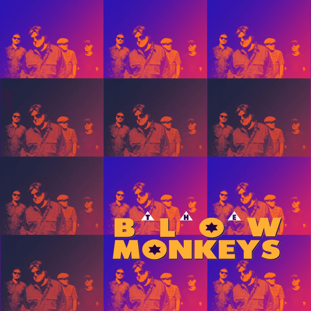 The Blow Monkeys Live at The Brook