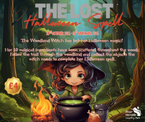 The Lost Halloween Spell – A Seasonal Woodland Trail