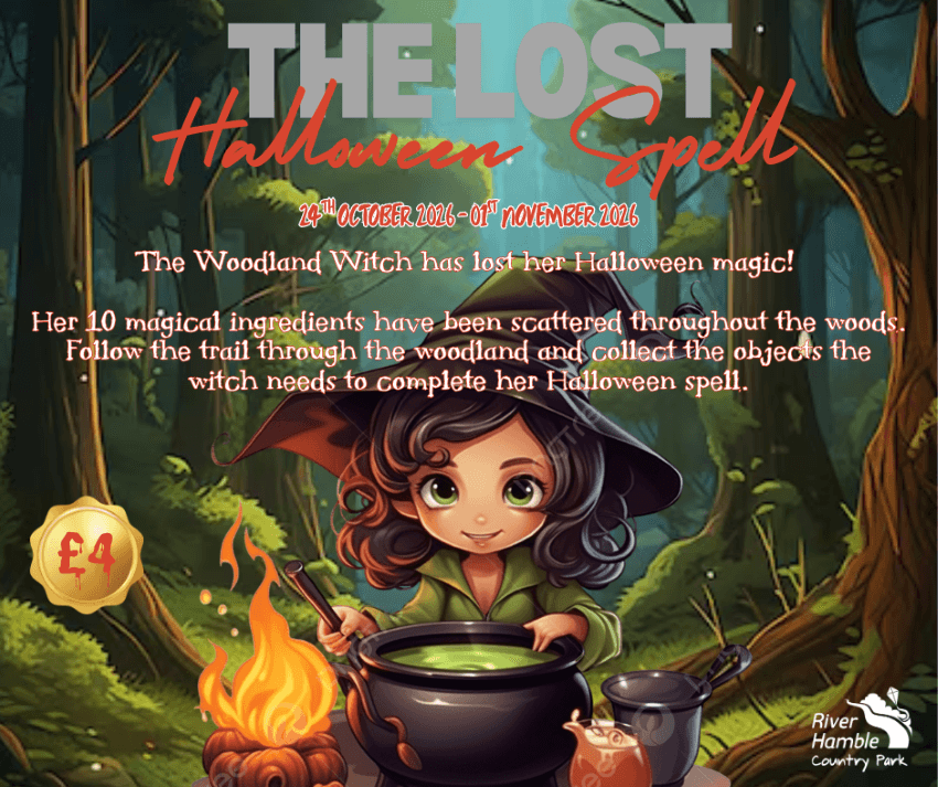 The Lost Halloween Spell – A Seasonal Woodland Trail