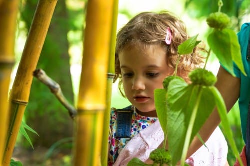 The Summer Superpower Trail 2026 at Sir Harold Hillier Gardens