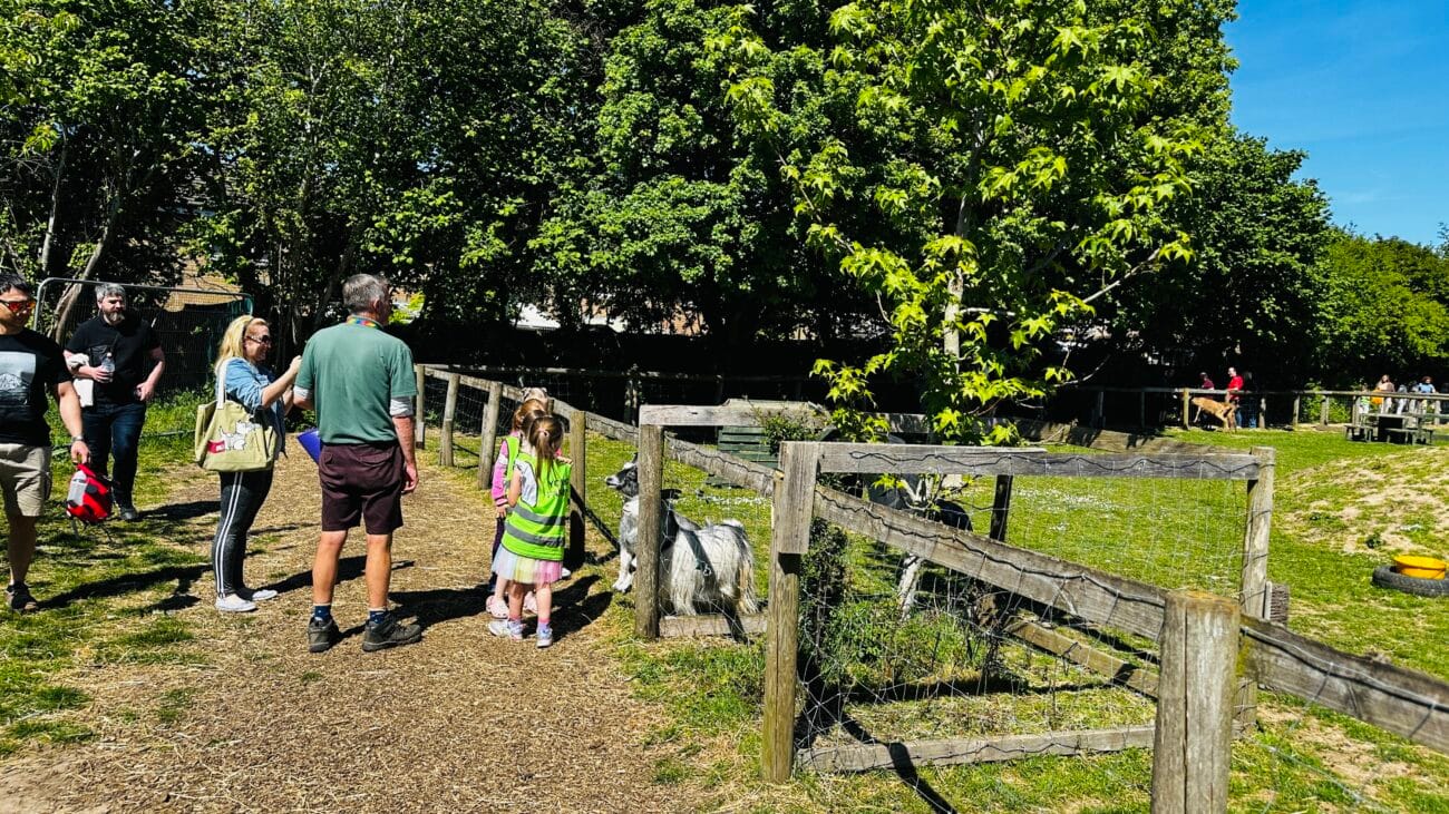 Things to Do in Southampton With Kids