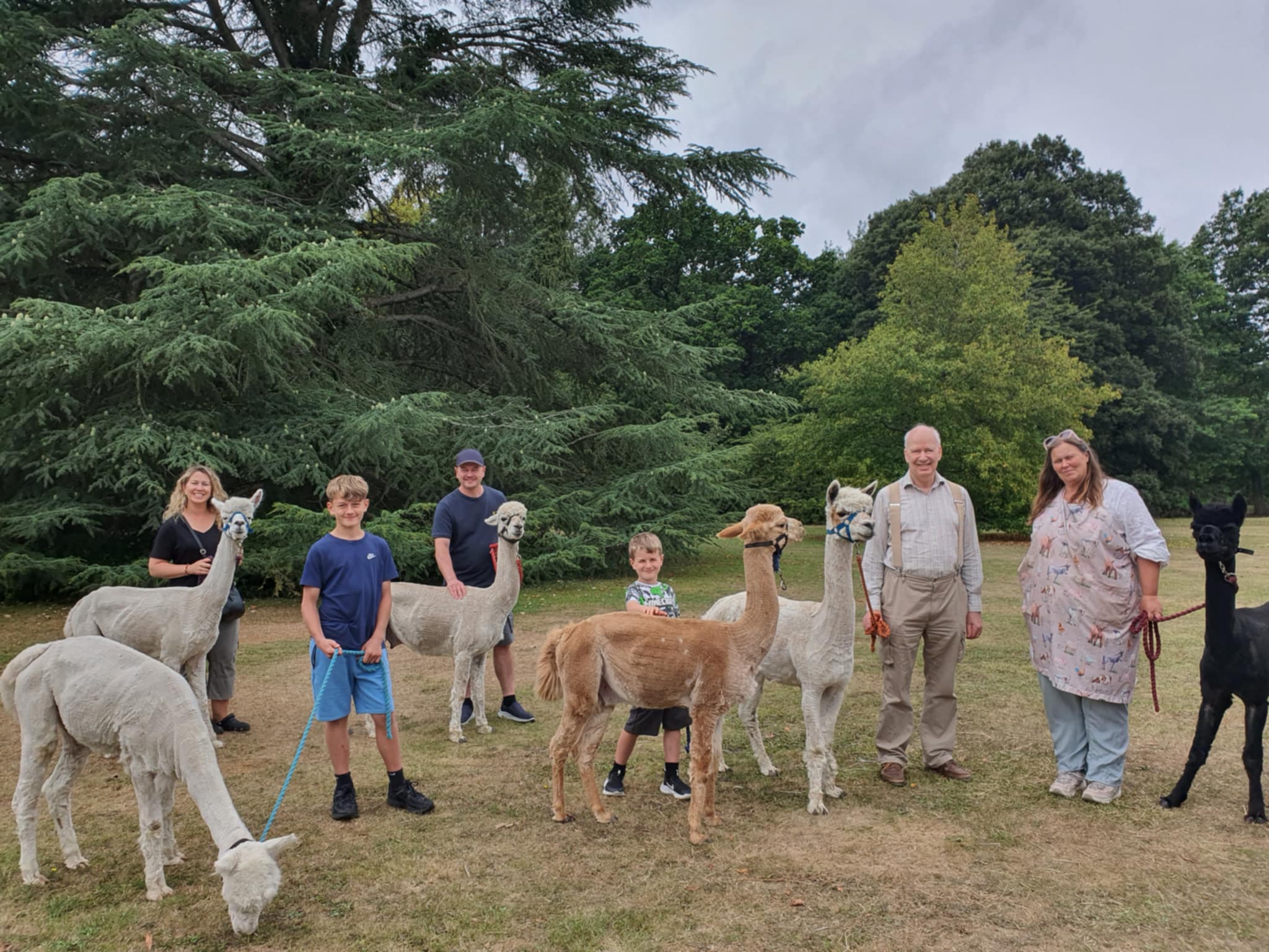 Walk with Alpacas 2026 at Exbury Gardens
