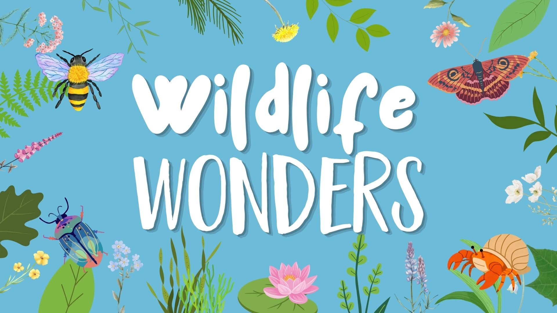 Wildlife Wonders 2026