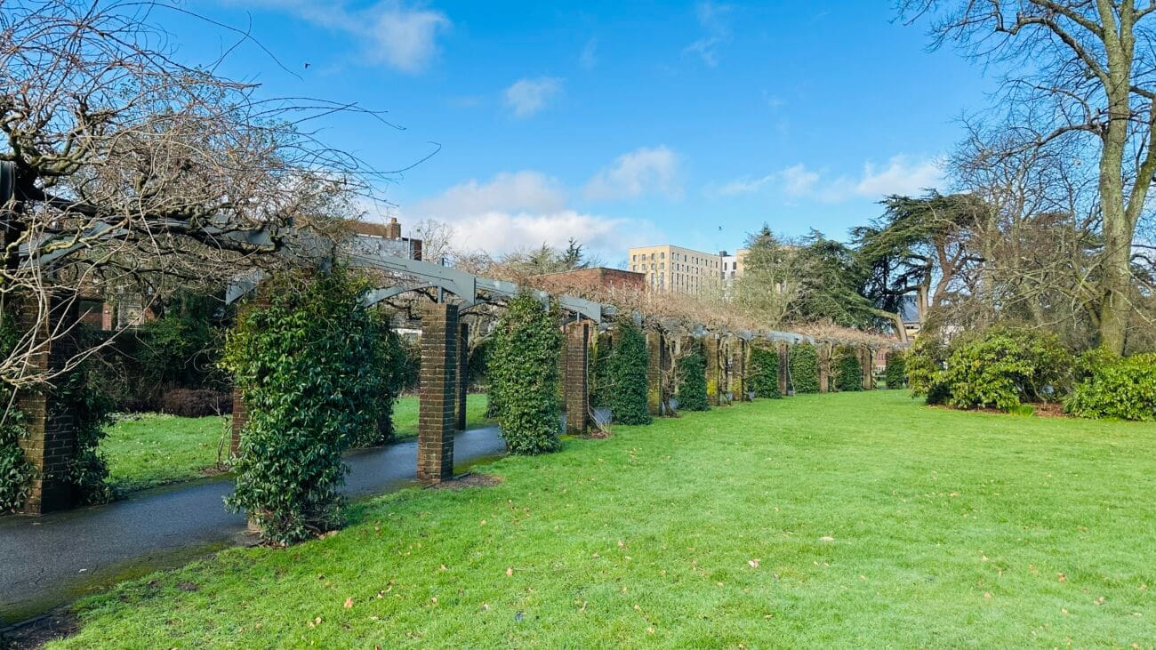 Winter floral arch path in East Park, Southampton