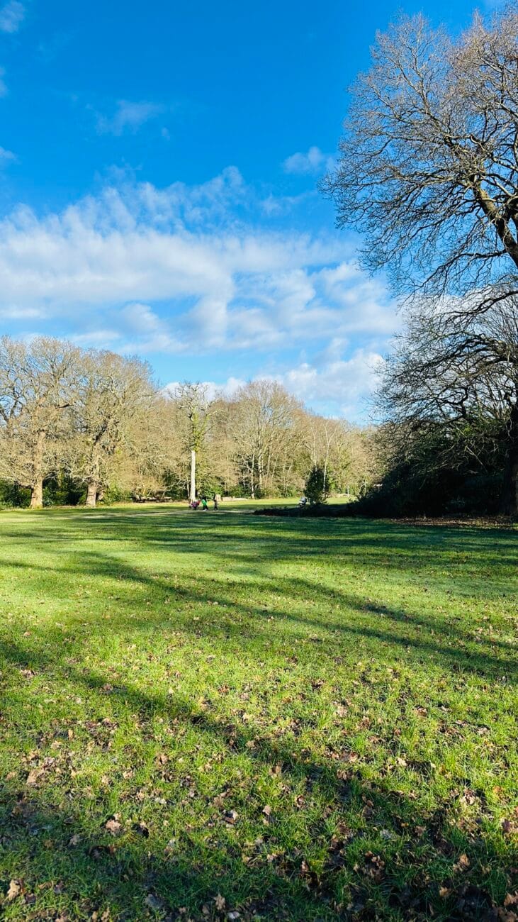Winter trees and open field on Southampton Common