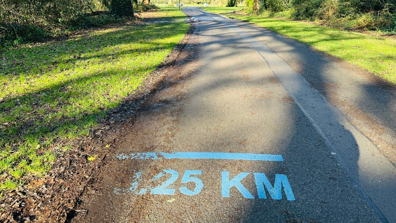 Woodland trail through Southampton Common