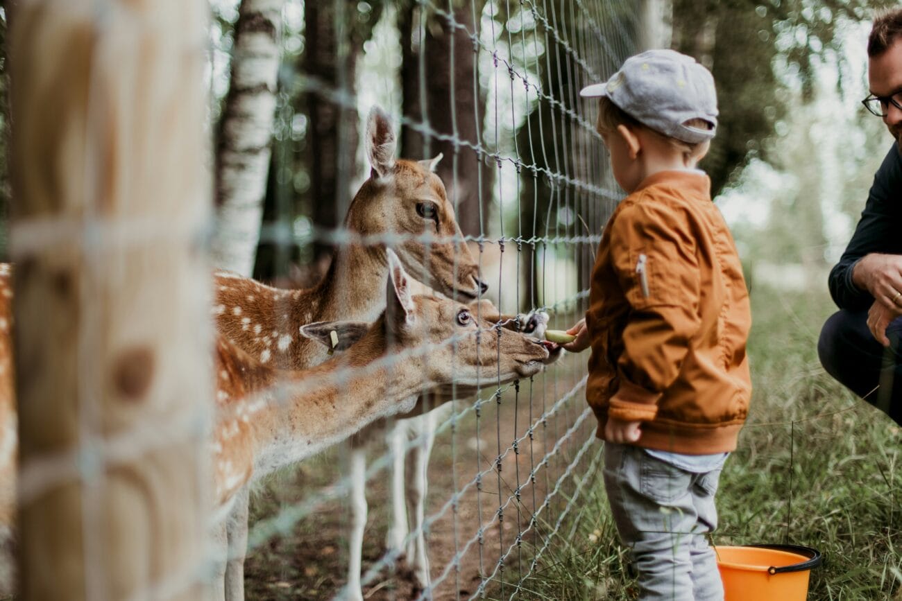 Zoos Near Southampton